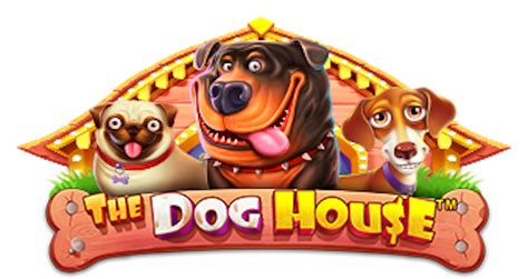 casino zooma|The Dog House: A Thrilling Slot Game by Pragmatic Play Casino .